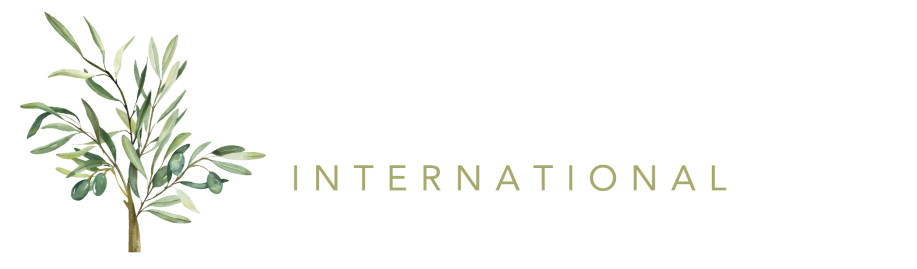 Olive Consulting International Logo with olive tree and white and gold font