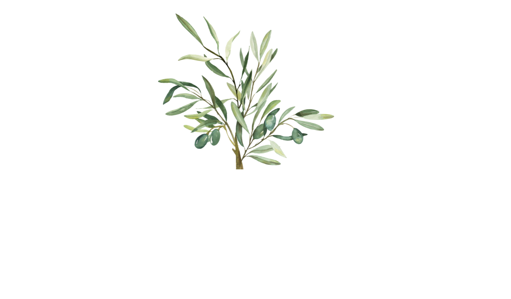 Olive Consulting International Main Logo white font